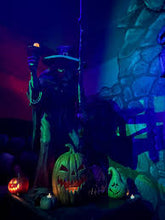 Load image into Gallery viewer, Witch Village: Halloweentown Walkthrough or Haunted House (weekends only)