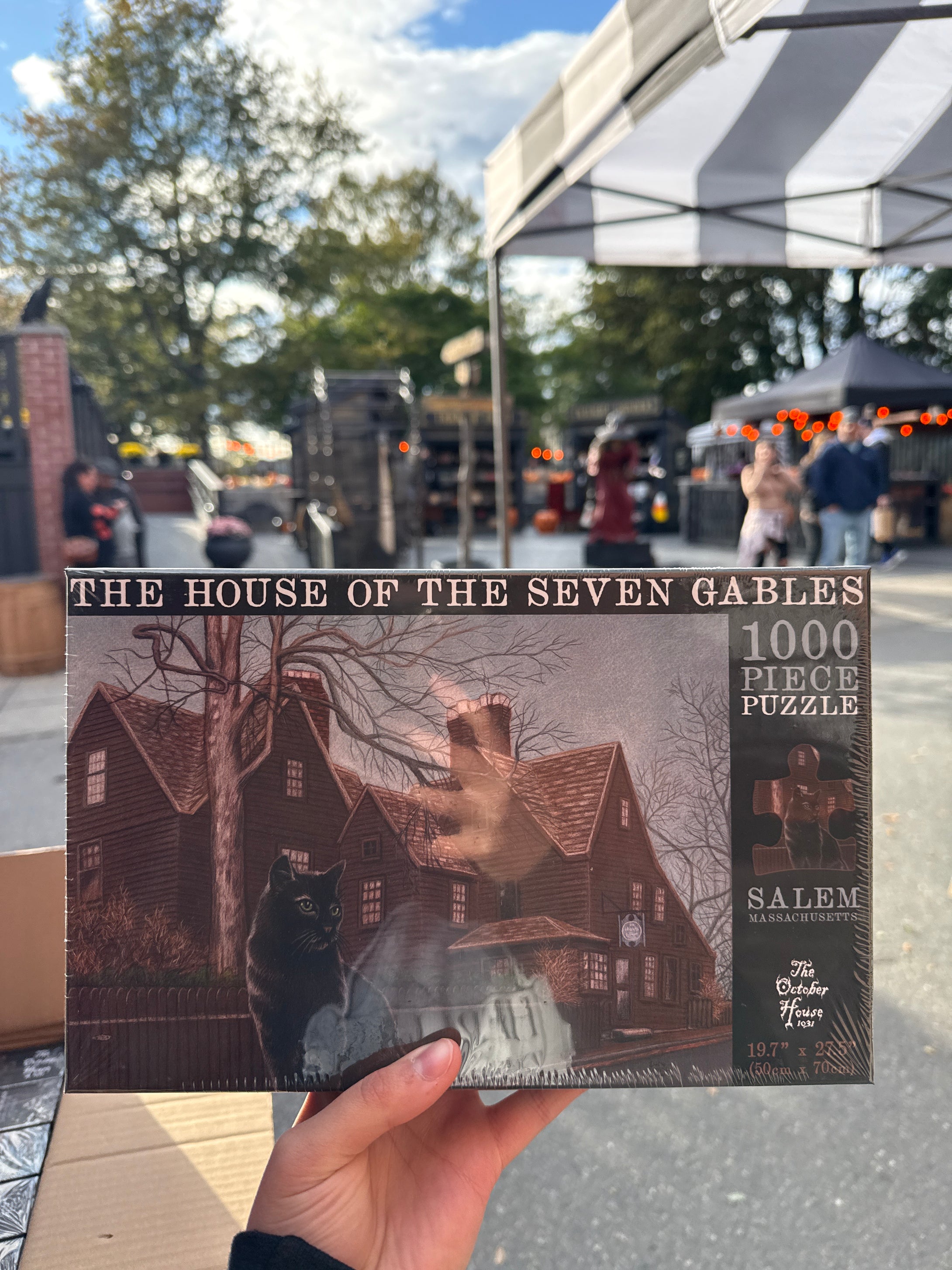 House of seven gables  puzzles