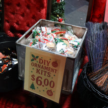 Load image into Gallery viewer, DIY Holiday Ornament Kits
